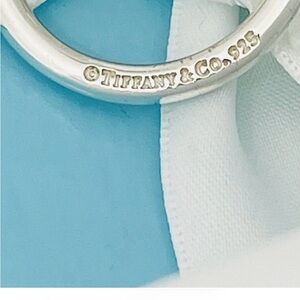 Tiffany & Co Horseshoe Key Ring Chain Keyring Keychain